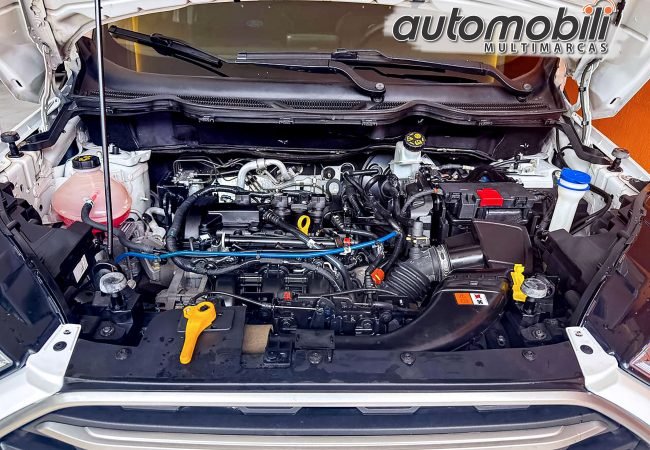 WhatsApp Image 2026-01-15 at 10.25.34 AM (1)